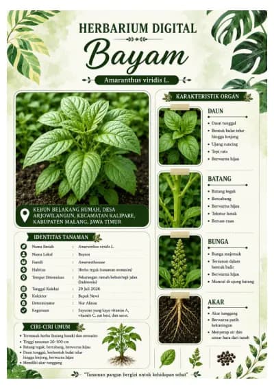 (Revisi) Bayam Nur alinsa X PPLG 1 (1) digabungkan (1) cover