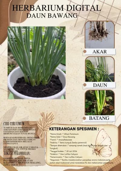 Herbarium Digital Daun Bawang cover